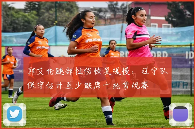 郭艾伦腿部拉伤恢复缓慢,辽宁队保守估计至少缺席十轮常规赛